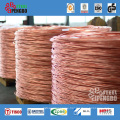 Best Competitive of Copper Product